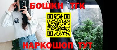 ECSTASY Камышлов