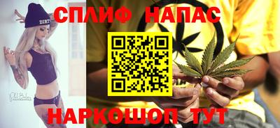 ECSTASY Камышлов