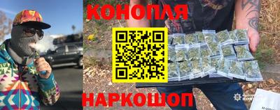 ECSTASY Камышлов