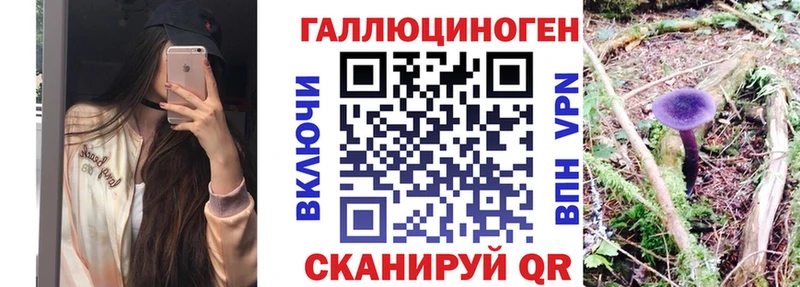 где купить наркотик  Керчь  Псилоцибиновые грибы Cubensis 