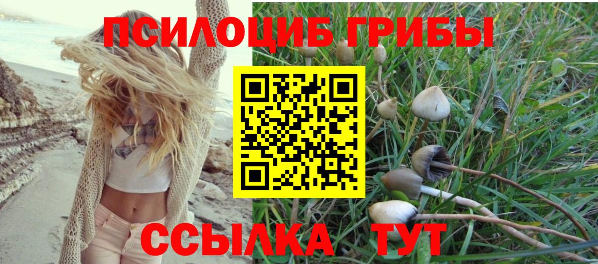 Псилоцибиновые грибы прущие грибы  Керчь 