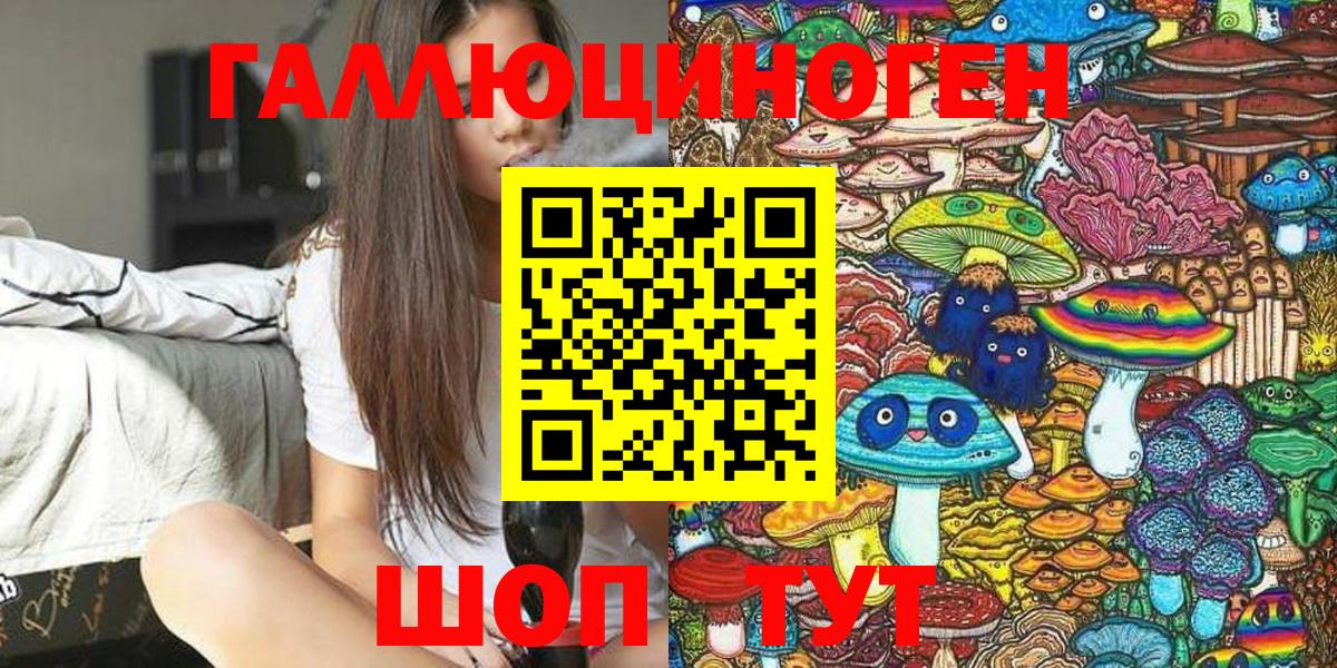 купить   Галлюциногенные грибы MAGIC MUSHROOMS  Вход с VPN  Керчь 